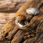 Anillo del tercer ojo con piedra de ojo de tigre