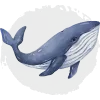 Puntos Alma de Coral - Nivel Ballena Puntos Alma de Coral - Nivel Ballena