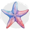 Puntos Alma de Coral - Nivel Estrella Puntos Alma de Coral - Nivel Estrella