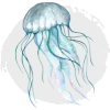 Puntos Alma de Coral - Nivel Medusa Puntos Alma de Coral - Nivel Medusa