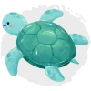 Puntos Alma de Coral - Nivel Tortuga Puntos Alma de Coral - Nivel Tortuga